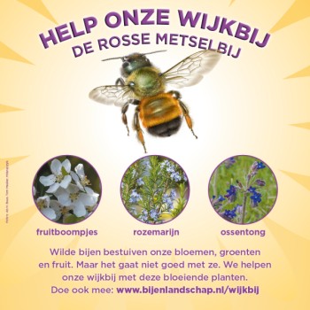 Album afbeelding 3