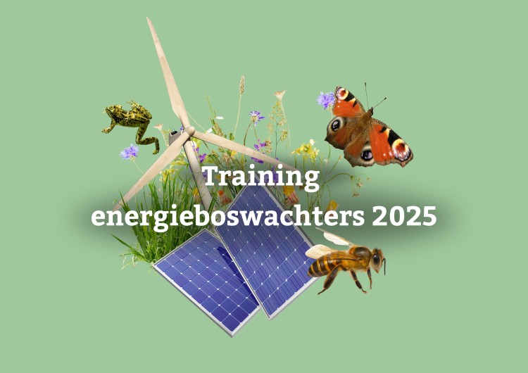Word Energieboswachter en help de natuur in de energietransitie