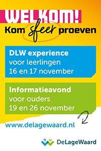 DLW Experience