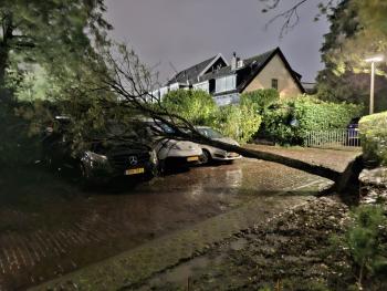 Stormen Austen en Boelo zorgen voor stormschade in regio