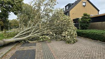 Album afbeelding 1: Hoefbladlaan Papendrecht
