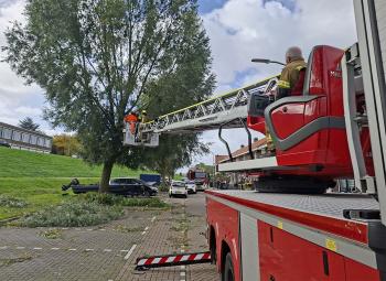 Album afbeelding 2: Marinxstraat Zwijndrecht