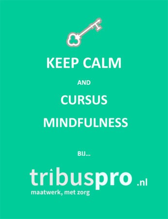 Mindfulness cursus