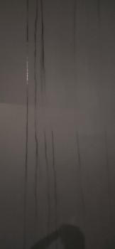 Album afbeelding 4