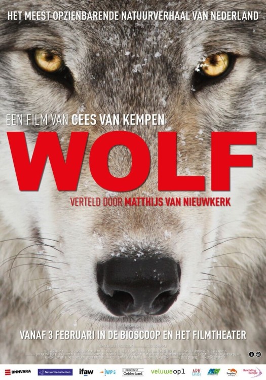 Landvast vertoonde: Wolf (Binnen en Buiten Festival)